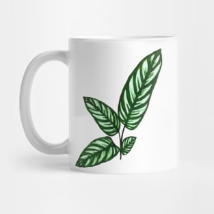 Calathea Mug